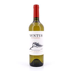 Bodega del Fin del Mundo Ventus White Blend Jahrgang 2022 Produktbild