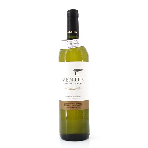 Bodega del Fin del Mundo White Blend Jahrgang 2022 (Sauvignon Blanc,Chardonnay) 0,750 Liter/ 13.5% vol Produktbild