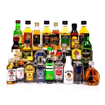 whiskyworld Adventskalender Spirituosen-Mix 24-teilig zum Befüllen 1,150 Liter/ 39.5% vol