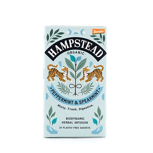 Hampstead Tea BIO Organic Green Tea & Jasmine 20 Teebeutel 40 Gramm Produktbild