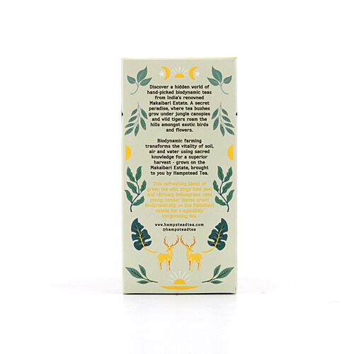 Hampstead Tea BIO Organic Green Tea & Lemmon 20 Teebeutel 40 Gramm Produktbild