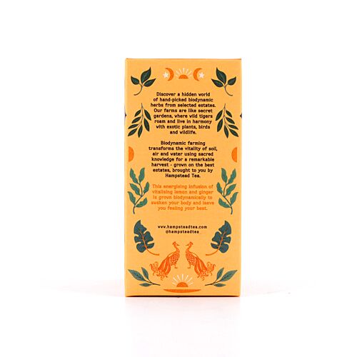 Hampstead Tea BIO Organic Lemon Ginger 20 Teebeutel 30 Gramm Produktbild