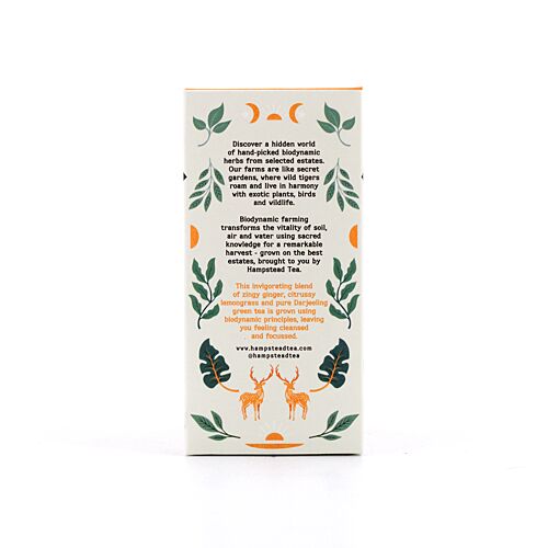 Hampstead Tea BIO Organic Zesty Ginger Green Tea 20 Teebeutel 40 Gramm Produktbild