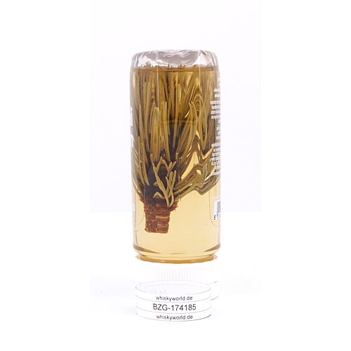 Mieli Thun Alpino Melange aus Akazienhonig und Latschenkieferöl mit Kieferknospe in Spenderflasche 240 Gramm Produktbild