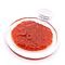 Senchou Pur Ketch`up Piment De Cayenne Roter Paprika Tomaten Ketchup mit Cayenne Pfeffer 360 Gramm Vorschau